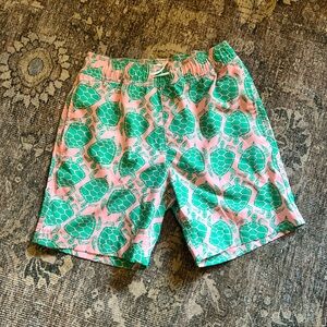 EUC CrewCuts Turtle 🐢 Swim Shorts 12